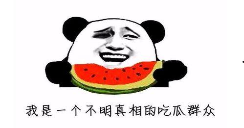 吃大瓜在线播放免费观看,吃大瓜在线播放，精彩内容不设限