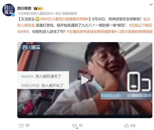 榆次黑哥爆料视频播放,揭秘事件背后真相